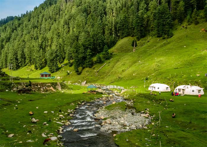 Best Tour & Travel Agency in Katra